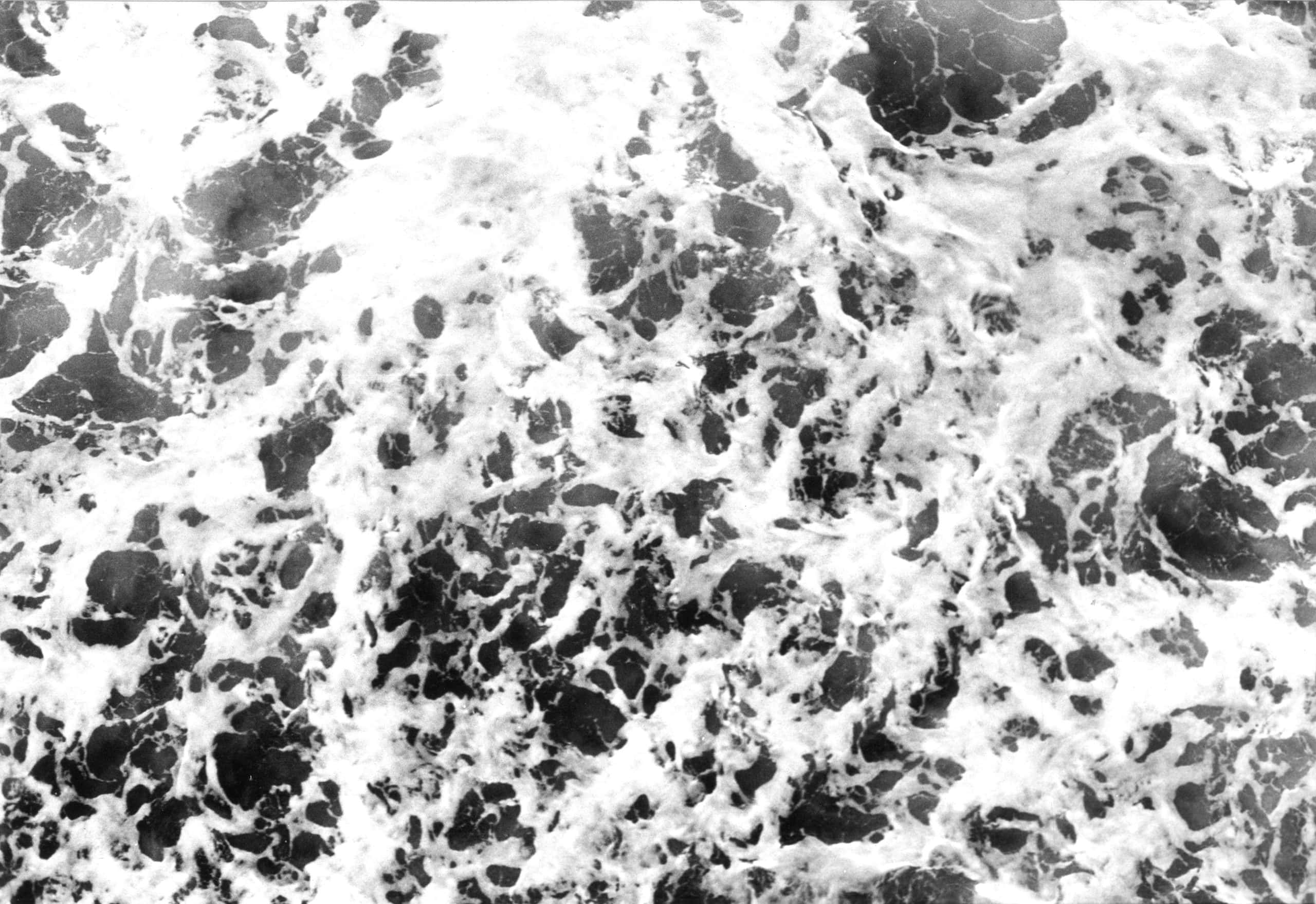 Fragments Against Forgetting: HIV, Art, and Memory at Centro Pecci